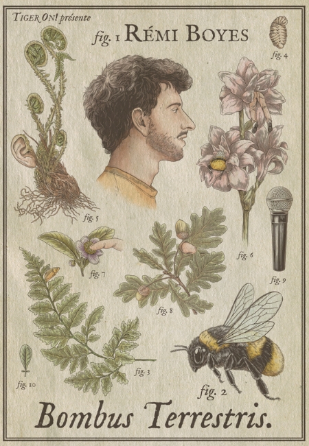 REMI BOYES - CARGO - FICHE ARTISTE